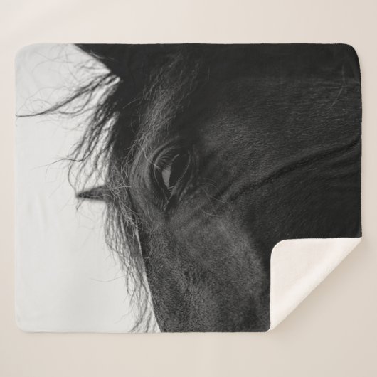 COUVERTURE SHERPA CHEVAL NOIR (Devant (Horizontal))