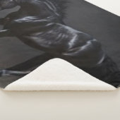 COUVERTURE SHERPA CHEVAL NOIR (3/4)
