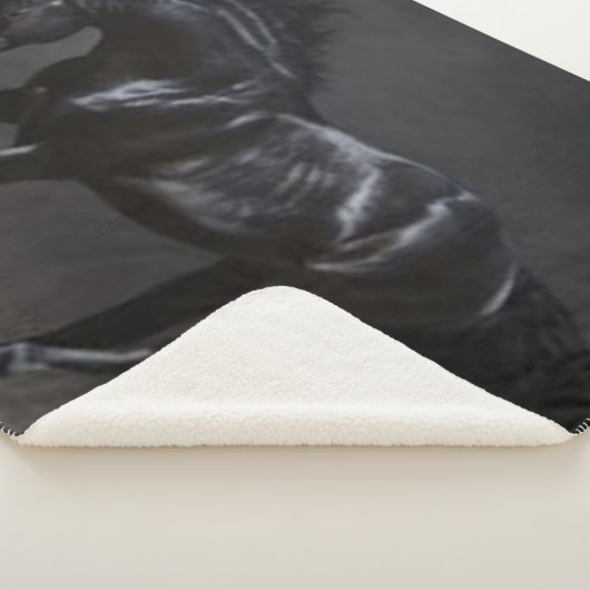 COUVERTURE SHERPA CHEVAL NOIR (3/4)