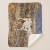 Couverture Sherpa Cheval Parcourir les collines Pittoresques de la G (Devant)