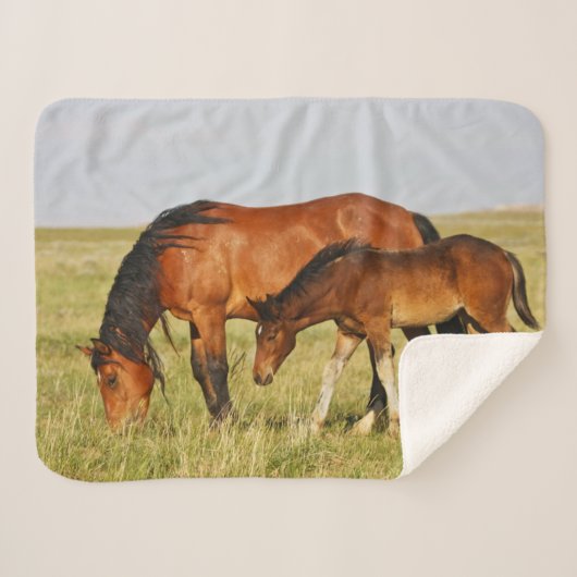 Couverture Sherpa Cheval sauvage Mère et Colt pâturage (Devant (Horizontal))