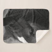 Couverture Sherpa Cheval sbcnm (Devant (Horizontal))