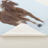 Couverture Sherpa Cheval simple courant dans la neige (3/4)