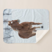 Couverture Sherpa Cheval simple courant dans la neige (Devant (Horizontal))