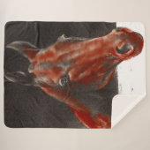 Couverture Sherpa cheval sympathique (Devant (Horizontal))