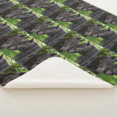 Couverture Sherpa Chevaux (3/4)