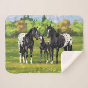 Couverture Sherpa Chevaux Appaloosa Noir Dans Les Pâturages D'Été