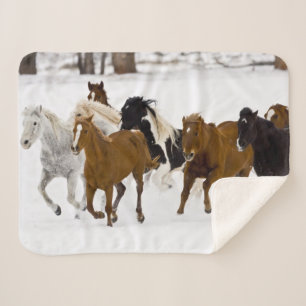 Couverture Sherpa Chevaux au galop au Hideout Ranch