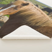 Couverture Sherpa Chevaux islandais dans le nord-est de l'Islande (3/4)