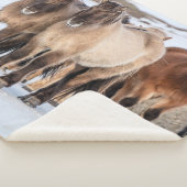 Couverture Sherpa Chevaux islandais en hiver près de Hofn, Islande (3/4)