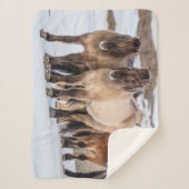 Couverture Sherpa Chevaux islandais en hiver près de Hofn, Islande (Devant)