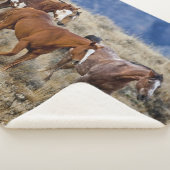 Couverture Sherpa Chevaux Parcourir les collines (3/4)