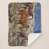 Couverture Sherpa Chevaux Parcourir les collines (Devant)