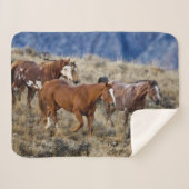 Couverture Sherpa Chevaux Parcourir les collines (Devant (Horizontal))