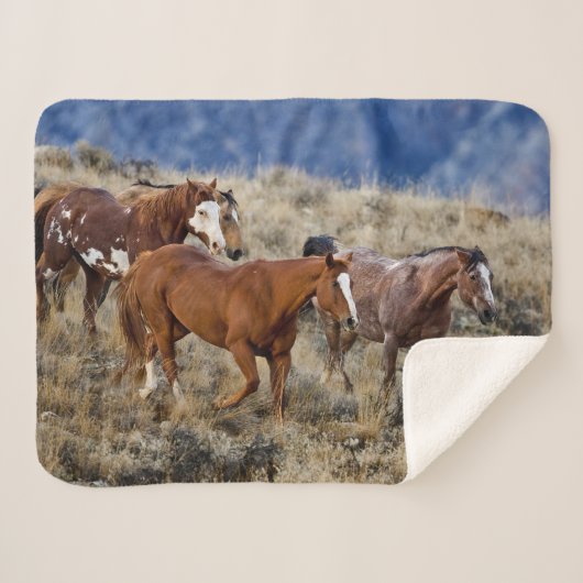 Couverture Sherpa Chevaux Parcourir les collines (Devant (Horizontal))