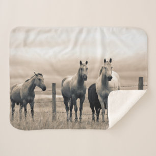 Couverture Sherpa Chevaux Quarter Horses dans la Prairie Canadienne