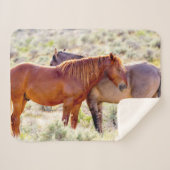 Couverture Sherpa Chevaux sauvages (Devant (Horizontal))