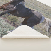 Couverture Sherpa Chevaux sauvages après un bain de poussière (3/4)