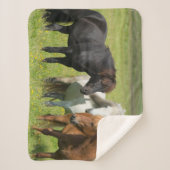 Couverture Sherpa Chevaux sur le Ranch, sud de l'Islande (Devant)