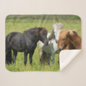 Couverture Sherpa Chevaux sur le Ranch, sud de l'Islande (Devant (Horizontal))