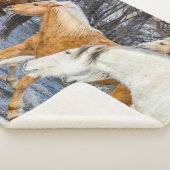 Couverture Sherpa Chevaux traversant le ruisseau (3/4)