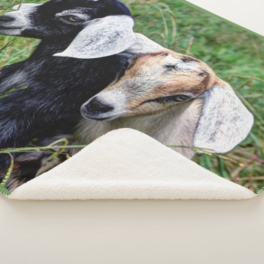 Couverture Sherpa Chèvres de bébé (3/4)