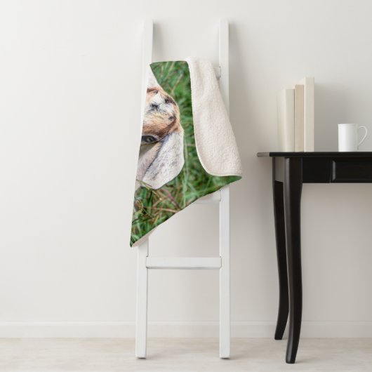 Couverture Sherpa Chèvres de bébé (En situation)