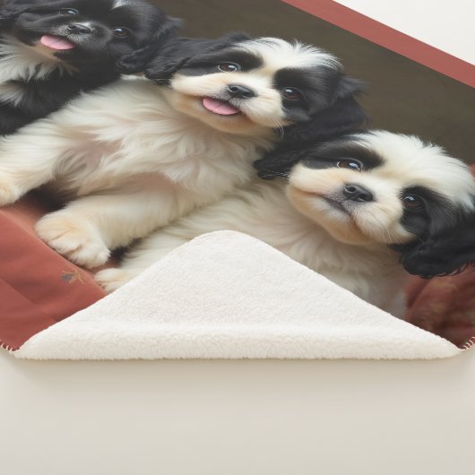 Couverture Sherpa Chien (3/4)