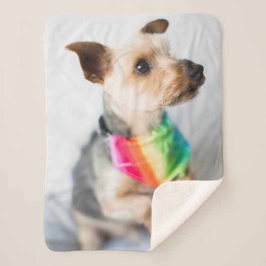 Couverture Sherpa Chien arc-en-ciel Gay pride| Yorkshire Terrier (Devant)