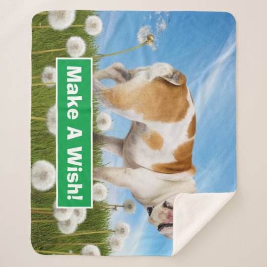 Couverture Sherpa Chien avec Dandelion (Devant)