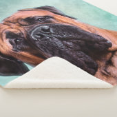 Couverture Sherpa Chien Bullmastiff (3/4)