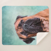 Couverture Sherpa Chien Bullmastiff (Devant (Horizontal))