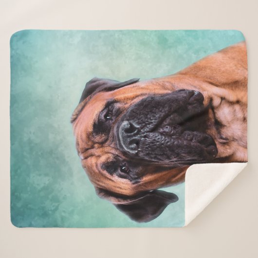 Couverture Sherpa Chien Bullmastiff (Devant (Horizontal))