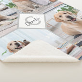 Couverture Sherpa Chien d'animaux de compagnie 4 photo moderne (3/4)