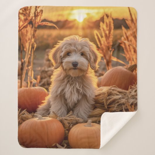 Couverture Sherpa Chien de caniche d'automne (Devant)