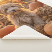 Couverture Sherpa Chien de caniche d'automne (3/4)