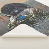 Couverture Sherpa Chien de chasse (3/4)