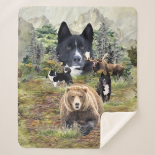 Couverture Sherpa Chien d'ours karélien