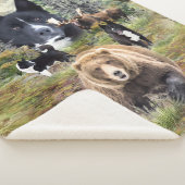 Couverture Sherpa Chien d'ours karélien (3/4)