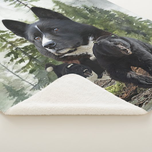 Couverture Sherpa Chien d'ours karélien (3/4)
