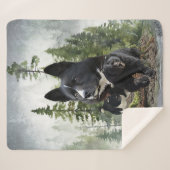 Couverture Sherpa Chien d'ours karélien (Devant (Horizontal))