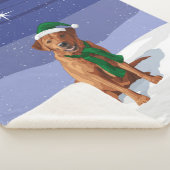 Couverture Sherpa Chien du Labrador jaune rouge renard (3/4)