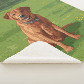Couverture Sherpa Chien du Labrador jaune rouge renard (3/4)