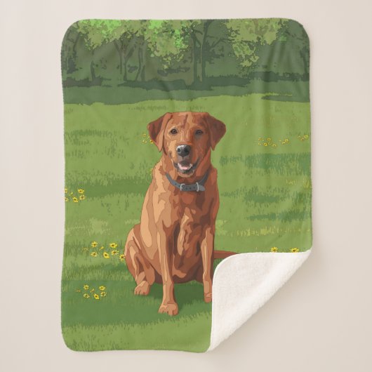 Couverture Sherpa Chien du Labrador jaune rouge renard (Devant)
