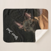 Couverture Sherpa Chien malinois (Devant (Horizontal))