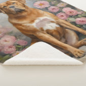 Couverture Sherpa Chien mastiff français de Bordeaux (3/4)