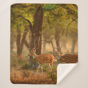 Couverture Sherpa Chien ou cheetal, axe Axe, cerfs tachetés ou axi