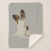 Couverture Sherpa Chien papillon (Devant)