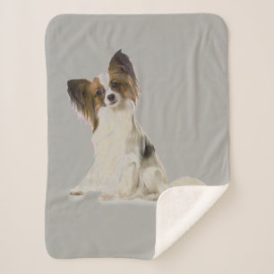 Couverture Sherpa Chien papillon