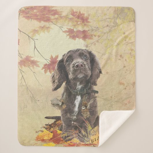 Couverture Sherpa Chien spaniel spaniel cocker au chocolat (Devant)